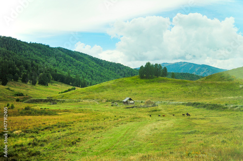 A view of grasslands and pastures taken through the windshield of a tour bus in Xinjiang, China