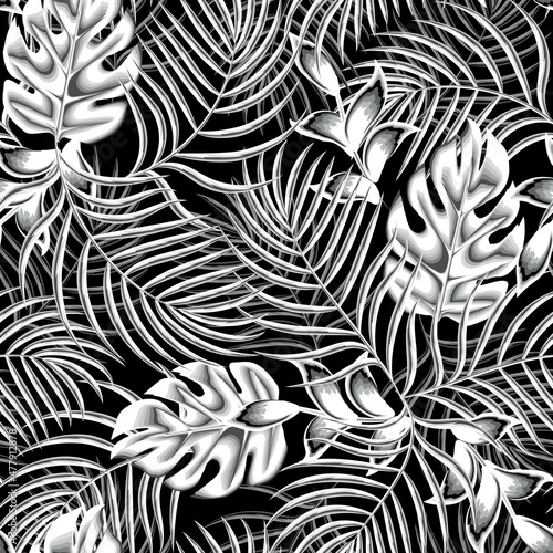 coconut branch leaves seamless pattern vector design with tropical monstra plants and foliage on night background. Exotic jungle wallpaper. Summer themed design for shirt cloth or prints textiles. 