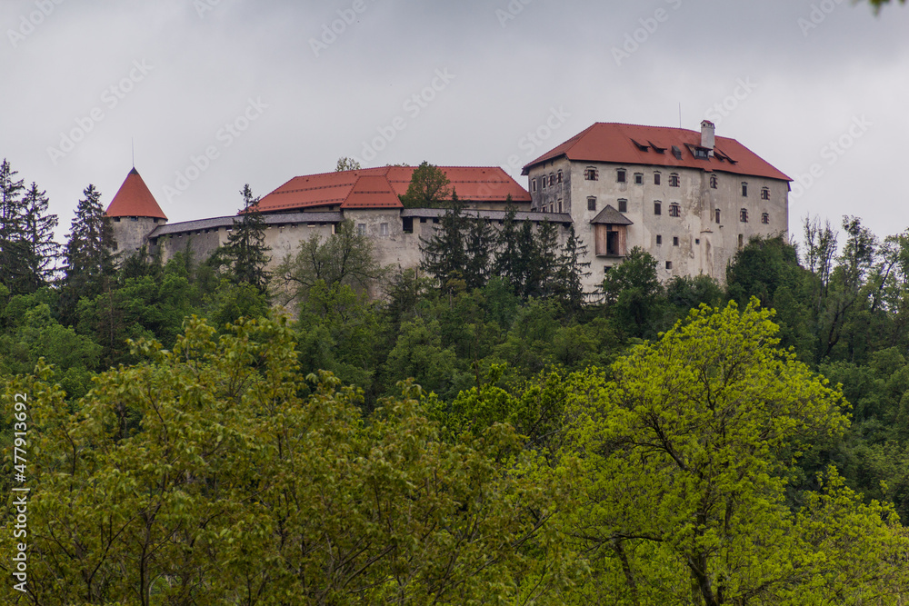 Obraz premium Blejski grad (Bled castle) in Slovenia