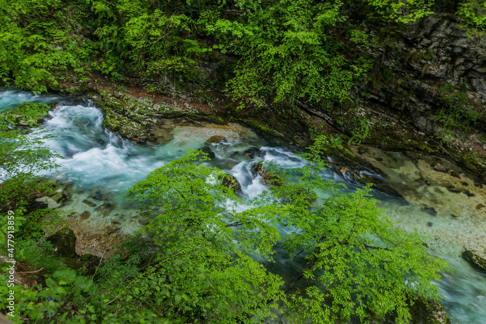 River Radovna in Vintgar gorge near Bled, Slovenia River Radovna in Vintgar gorge near Bled, Slovenia