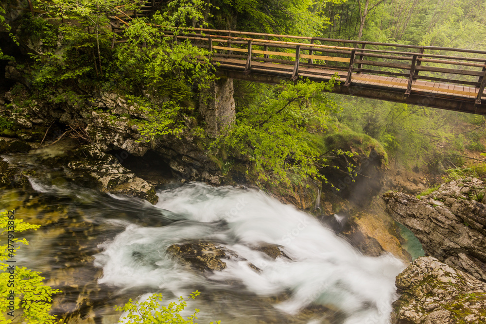 Obraz premium Slap Sum waterfall in Vintgar gorge near Bled, Slovenia