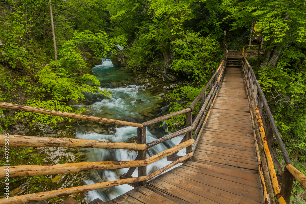 Fototapeta premium Boardwalk in Vintgar gorge near Bled, Slovenia