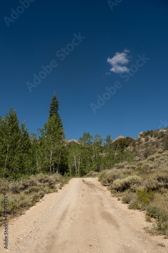 Blue Sky Over Dirt Road Entering Snake River Wilderness