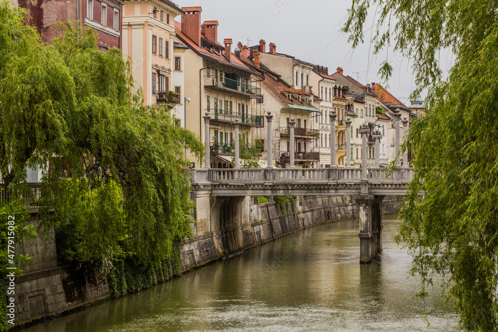 Fototapeta premium Riverside buildings and the Cobblers bridge in Ljubljana, Slovenia