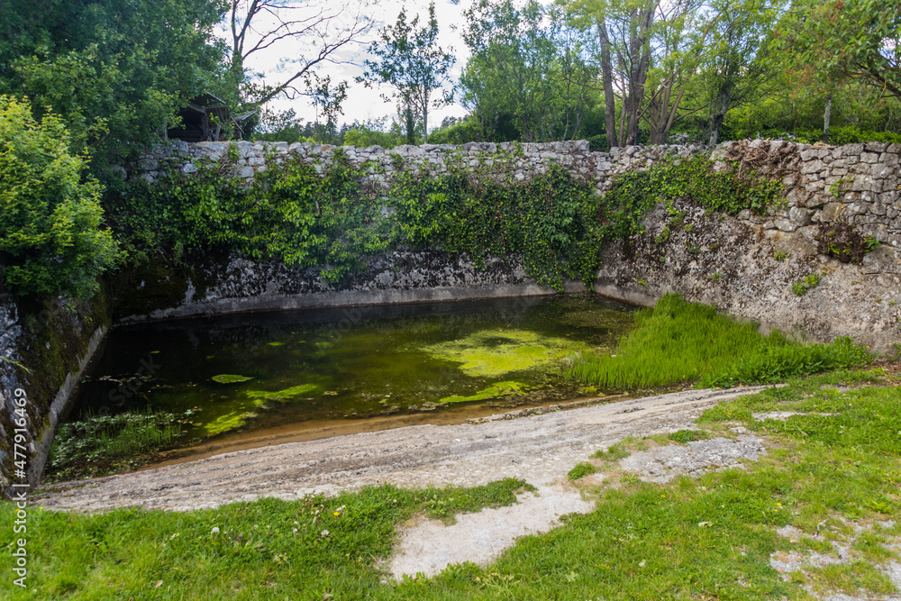 Old pond in Skocjan village, Slovenia