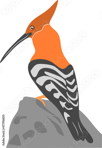 red billed hornbill