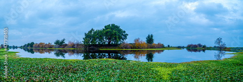 panoramic landscape with lake and vegetation