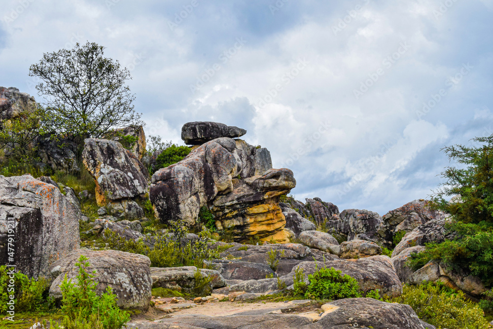 Turtle-shaped rocks among the vegetation and a cloudy sky. 
