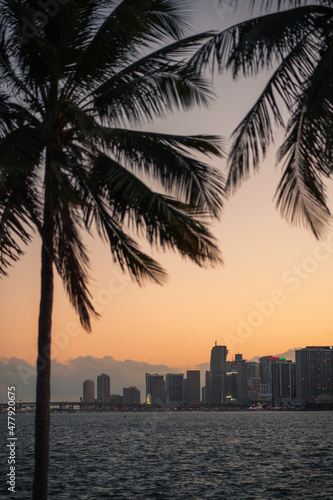 sunset palms sky color orange Miami Florida usa panorama vacation travel sea buildings urban skyscrapers  © Alberto GV PHOTOGRAP