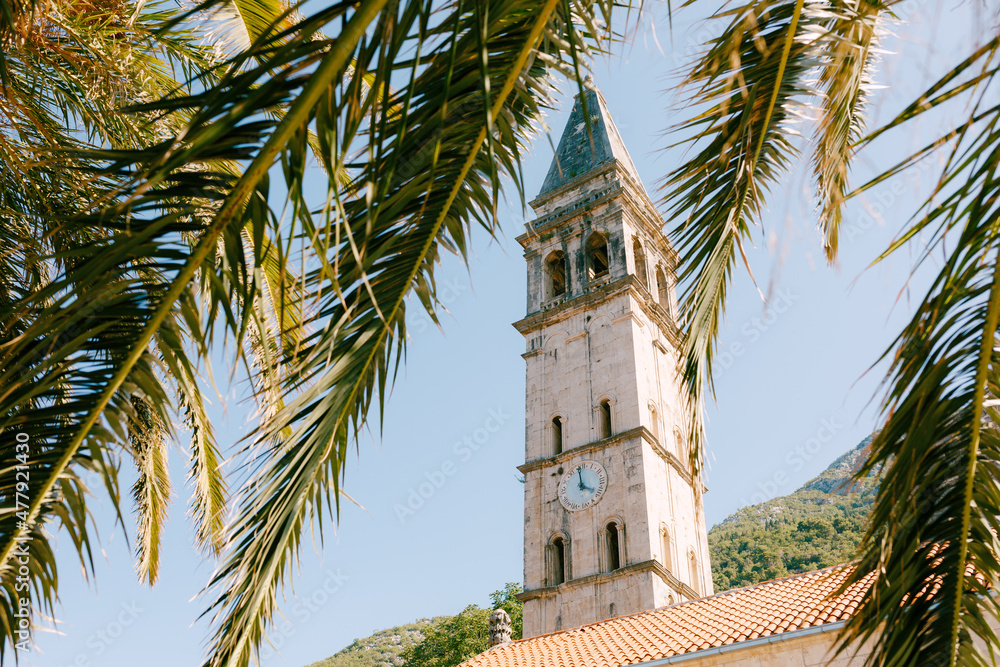 Bell tower of St. Nicholas Church seen through green palm branches. Montenegro