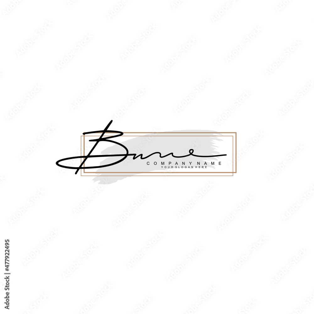 BN initial Signature logo template vector BN initial Signature logo template vector