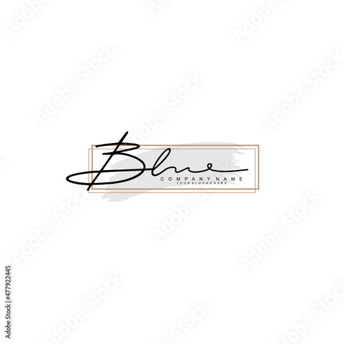 BL initial Signature logo template vector photo