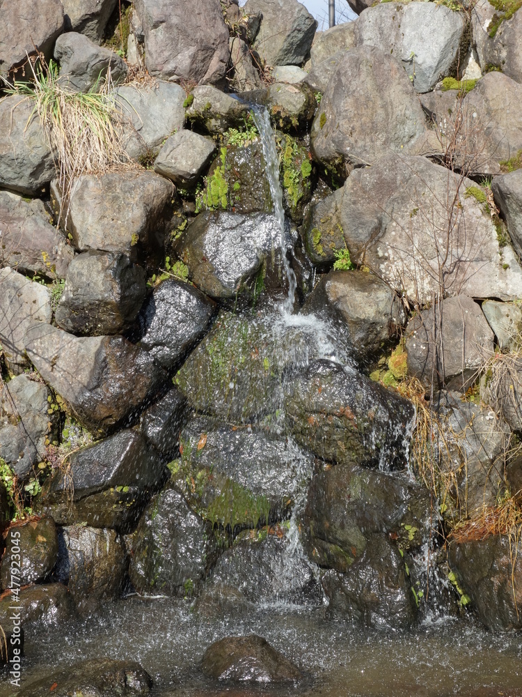 石の上を流れる水 石の上を流れる水