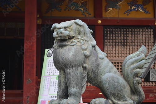 Tokyo, Japan: Close up of one of the smaller open mouth komainu guarding the front of the Asakusa Jinja shinto shrine.