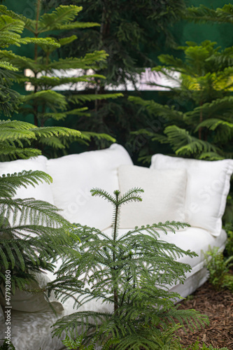 White cozy sofa in the green forest for relax.