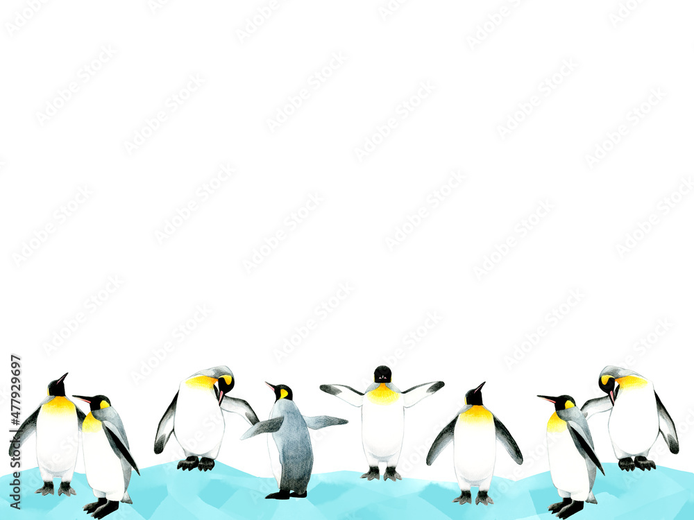 キングペンギンの背景素材 かわいい動物の水彩イラスト素材 Stock Illustration Adobe Stock