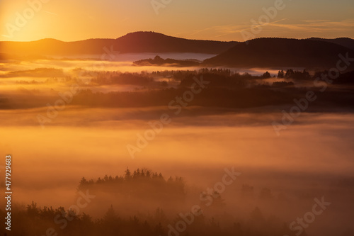 misty sunrise in palatinate