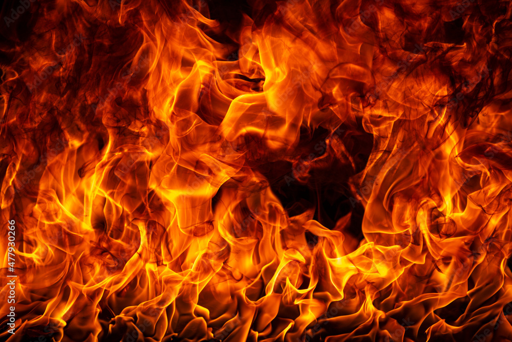 The fire, burning flame. Large burning flaming fire. The fire, burning flame. Large burning flaming fire.