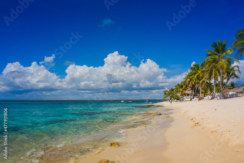Fototapeta Naklejka Na Ścianę i Meble -  Caribbean beach with a lot of palms and white sand, Dominican Republic
