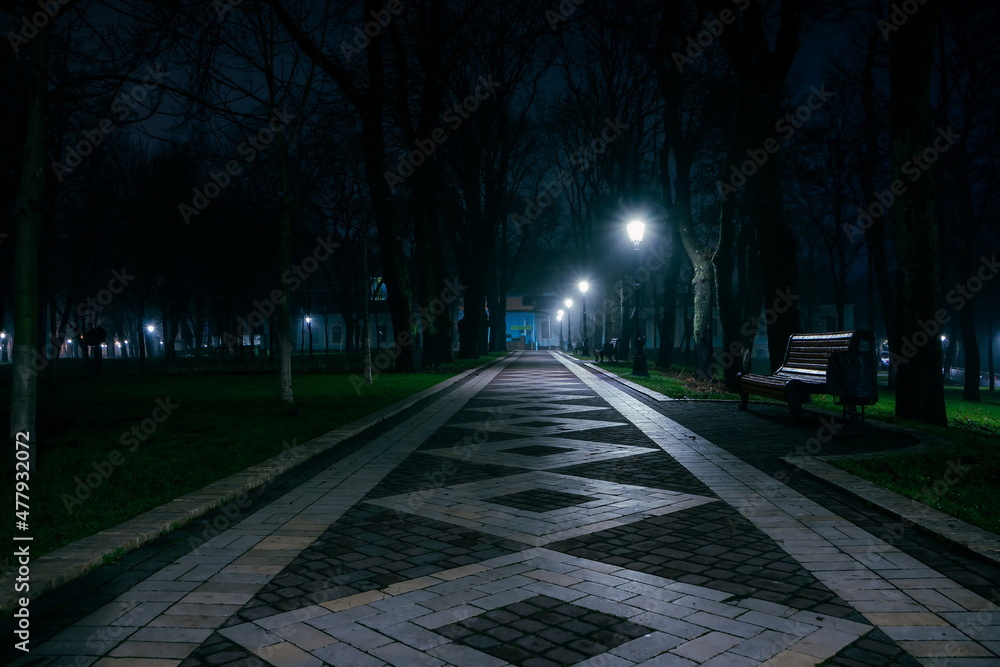 Obraz premium The alley of a night early winter park in a light fog. Footpath in a fabulous late autumn city park at night with benches and latterns. Beautiful cold evening in Mariinsky Park. Kyiv, Ukraine.