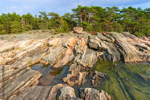 Rocky beach landscape and a forest photo