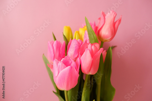 Fototapeta Naklejka Na Ścianę i Meble -  Colorful tulip flowers on pink background. Mother's day, Valentine, women's day and spring time concept floral background. 