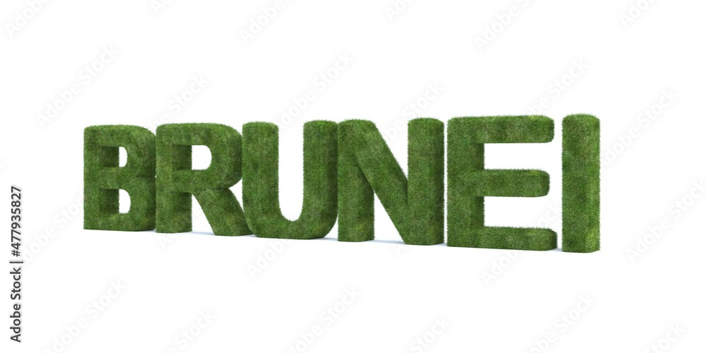 3d rendering of Brunei word isolated on white background 3d rendering of Brunei word isolated on white background