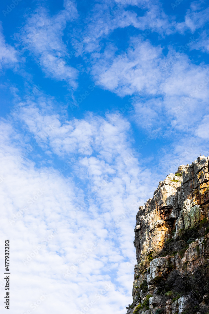 Rugged mountain landscape with fynbos flora in Cape Town Rugged mountain landscape with fynbos flora in Cape Town