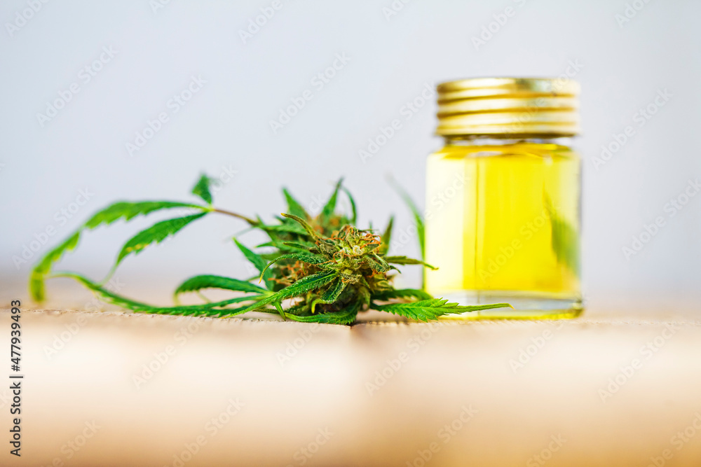marijuana medical cannabis oil cbd marijuana medical cannabis oil cbd