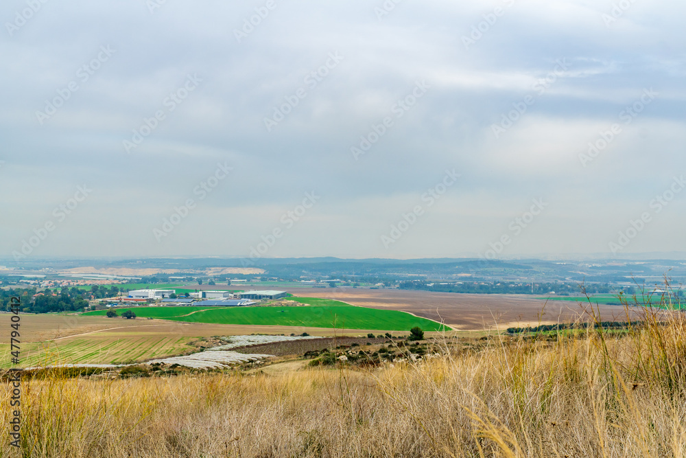 Landscape and countryside from Tel Gezer