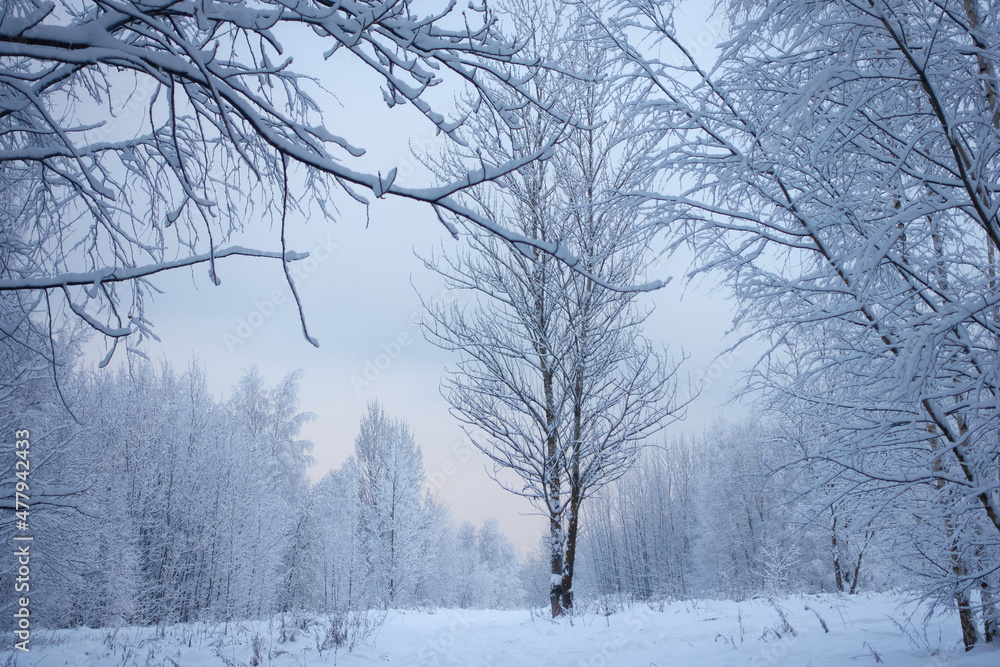 dim cloudy winter day landscape