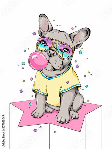 Cute french bulldog with bubble gum. Dog on a background of stars. Image for printing on any surface