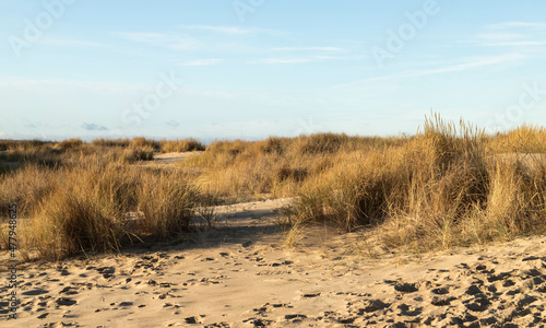 Fototapeta Naklejka Na Ścianę i Meble -  Dunes on the beach in Świbno 