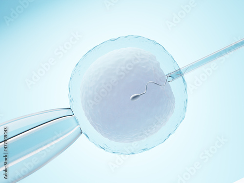 Ovum with needle for artificial insemination or in vitro fertilization. 3D Illustration Rendering. photo