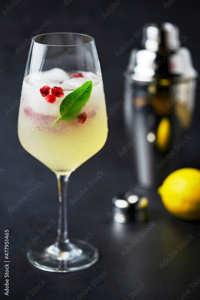 Cocktail mit Limoncello, Vodka, Zitronenlimonade, Prosecco und Granatapfelkernen Cocktail mit Limoncello, Vodka, Zitronenlimonade, Prosecco und Granatapfelkernen