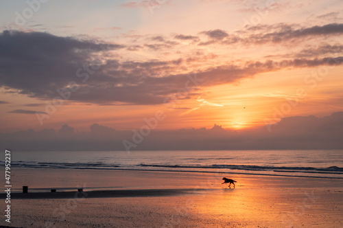 December sunrise at low tide on Bexhill beach East Sussex, south east England © SuxxesPhoto