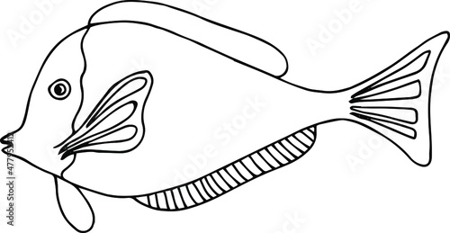 Hand drawn cartoon fish. Vector illustration isolated on white background.