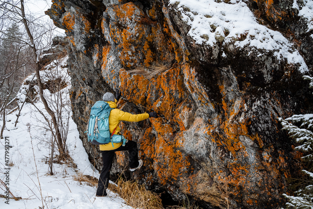 Obraz premium bush craft. The traveler climbing the mountain in winter. Snowy forest and rocks. Stick, cane for support. Survival in the wild.