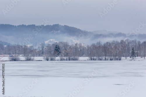 A view of the valley and the mountain under the snow. A frozen lake, trees, the fir forest in the fog in winter. A mountainous and wintry landscape, cold and calm.