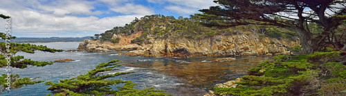 Point Lobos Sate Park, California, USA