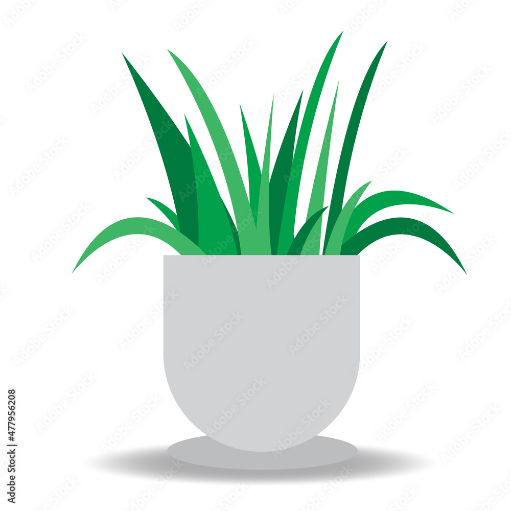 home elements hand drawn indoor house plants in white pot