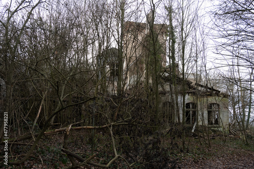 Ein Gruselschloss im Wald sorgt f  r Schrecken und Schauder unter den Spazierg  ngern