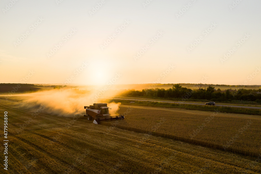 Combine harvester on the field at sunset. Aerial view Combine harvester on the field at sunset. Aerial view