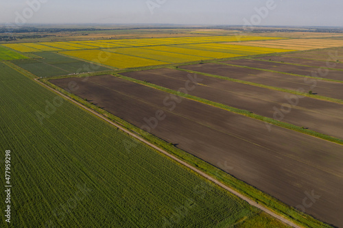 Aerial view of agricultural field 