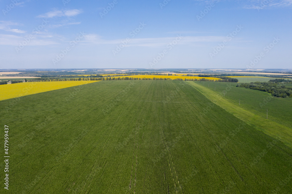 Obraz premium Aerial view of agricultural field 