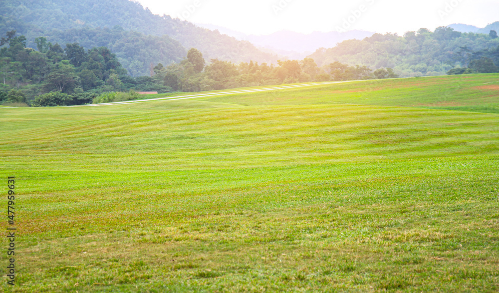 Fototapeta premium natural background of green yard and mountain with selective focus