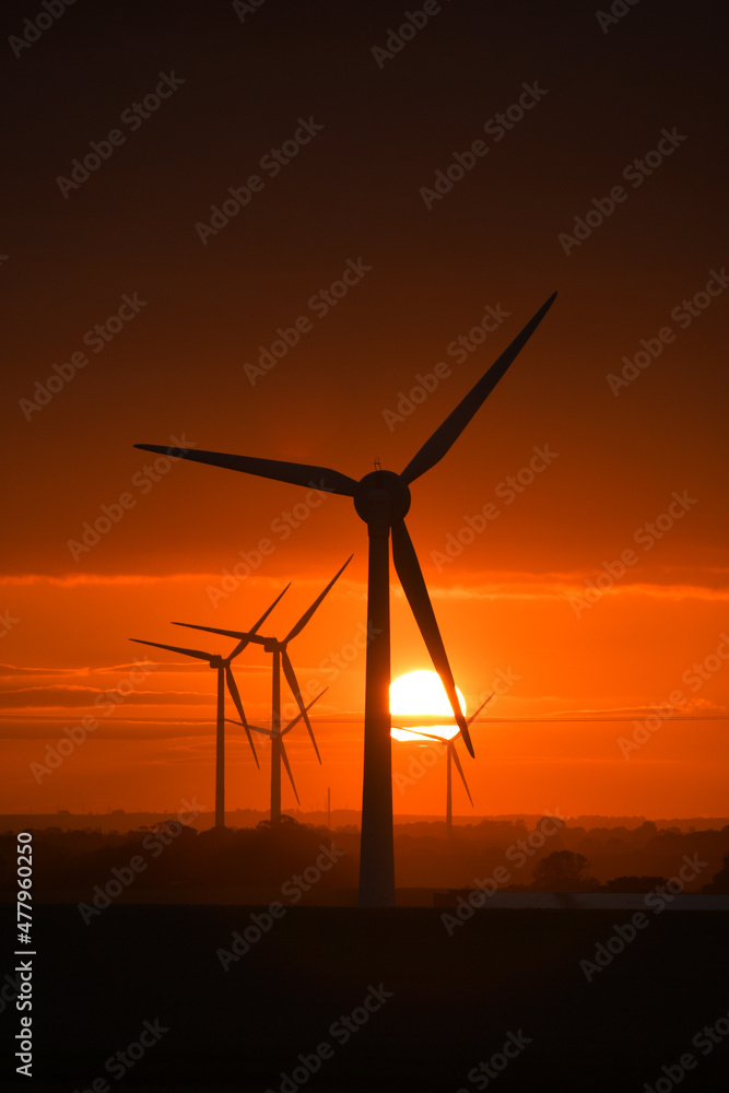 Obraz premium Deep orange sunset falls behind a field of giant wind turbines