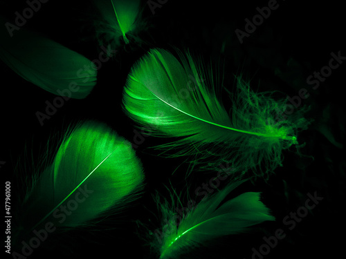 Beautiful abstract green feathers on black background, yellow feather texture on dark pattern,  green background, feather wallpaper, love theme, valentines day, green gradient texture photo