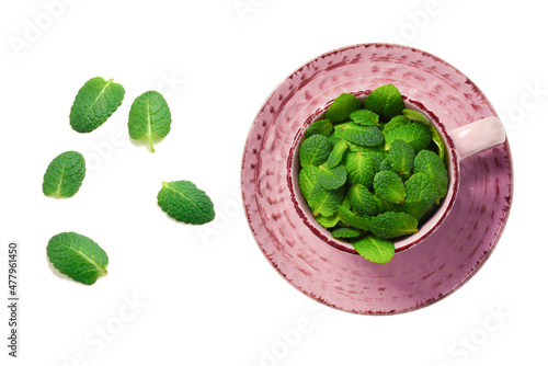 Mint leaves isolated on white background