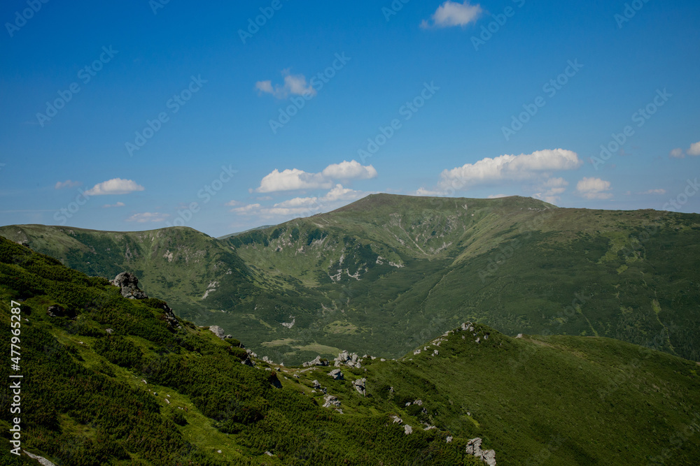 Carpathians mountain range at summer morning. Beauty of wild virgin Ukrainian nature. Peacefulness.